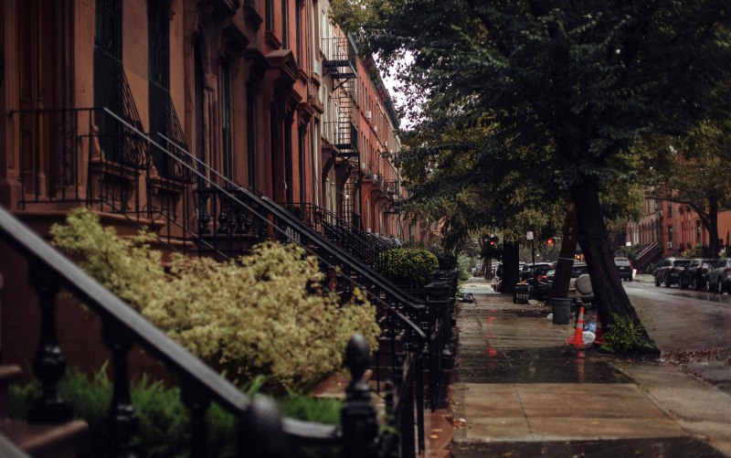 a tree covered street lined with brownstone townhomes